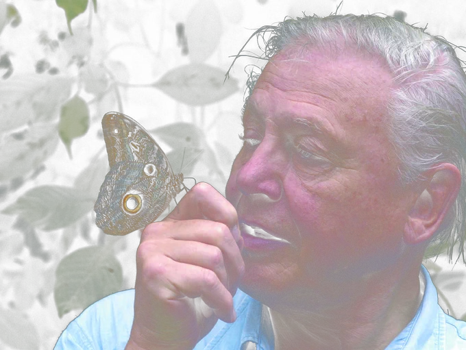 Close-up of a large butterfly perched on Sir David Attenborough's finger against a leafy background.