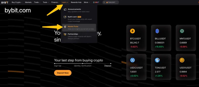 learn.bybit.com/en/market-pulse