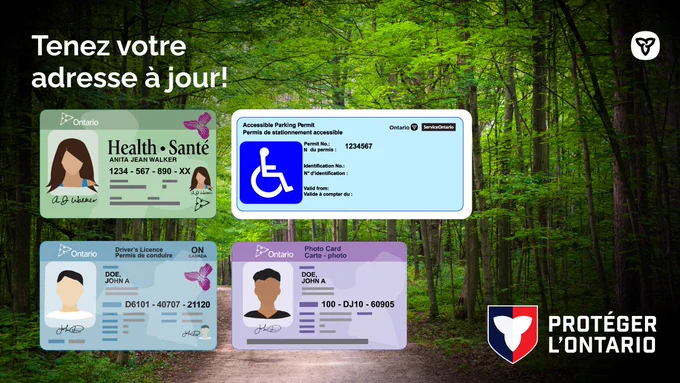carte Santé, permis de stationnement accessible, permis de conduire et carte-photo de l’Ontario. Texte : Tenez votre adresse à jour !