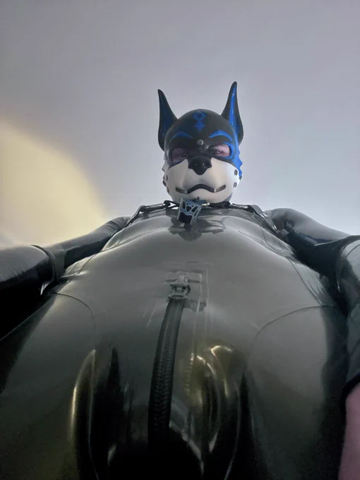 a very tall blue shiny pup looking down at you.
The view makes it seem that the viewer is half their size