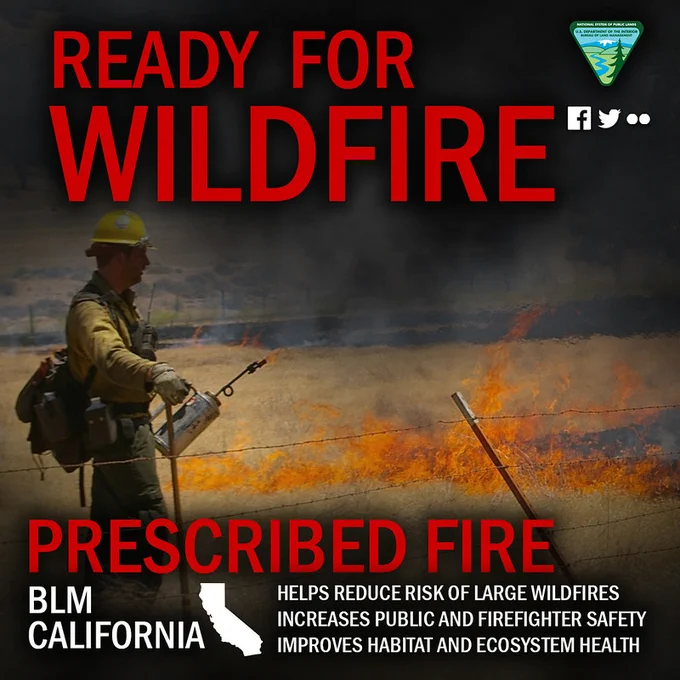 Firefighter in protective gear managing a controlled burn to prevent large wildfires in California.