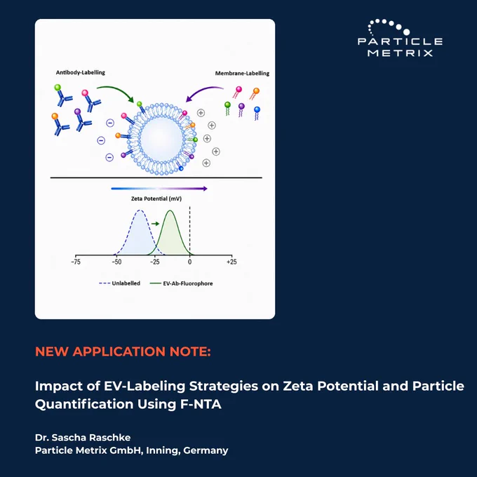 New Particle Metrix Application Note: Impact of EV-Labeling Strategies on Zeta Potential and Particle Quantification using F-NTA