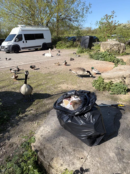 A parking area with a white van in the background and several geese and ducks on the ground. In the foreground, there is a black bin bag filled with rubbish placed on a large rock. Trees and bushes surround the area.