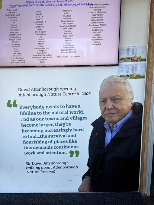 A large poster of Sir David Attenborough is displayed, marking the opening of the Attenborough Nature Centre in 2005. The poster includes a quote about the importance of connecting with nature. A schedule of sightings is visible above the poster, listing various bird species and their details.