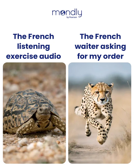 Left: tortoise captioned French listening audio; right: running cheetah captioned French waiter asking for my order.