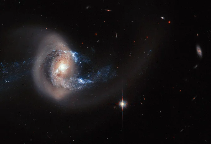This NASA Hubble Space Telescope photo of NGC 7714 presents an especially striking view of the galaxy's smoke-ring-like structure. The golden loop is made of Sun-like stars that have been pulled deep into space, far from the galaxy's center. The galaxy is located approximately 100 million light-years from Earth in the direction of the constellation Pisces.

The universe is full of such galaxies that are gravitationally stretched and pulled and otherwise distorted in gravitational tug-o'-wars with bypassing galaxies.

The companion galaxy doing the "taffy pulling" in this case, NGC 7715, lies just out of the field of view in this image. A very faint bridge of stars extends to the unseen companion. The close encounter has compressed interstellar gas to trigger bursts of star formation seen in bright blue arcs extending around NGC 7714's center.

Credit: NASA/ESA/A. Gal-Yam/Weizmann Institute of Science