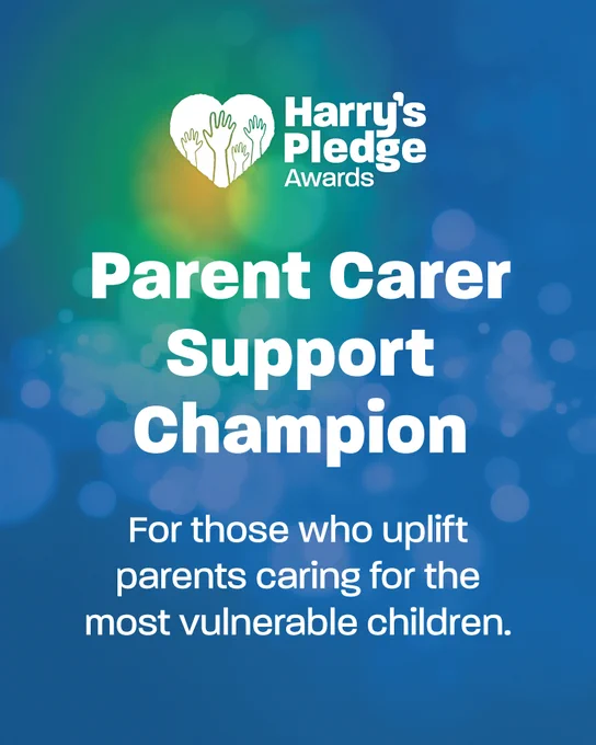 Parent Carer Support Champion - for those who uplift parents caring for the most vulnerable children