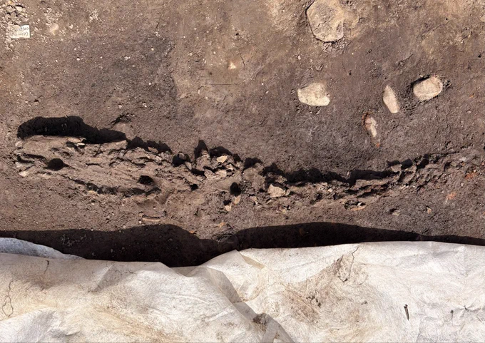 An overhead photo of the horses head and articulating neck.