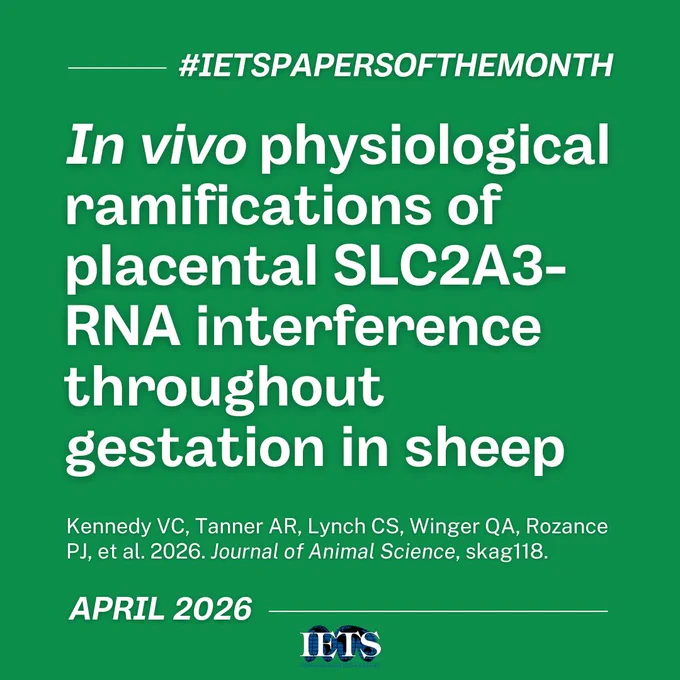 #IETSPapersOfTheMonth

In vivo physiological ramifications of placental SLC2A3-RNA interference throughout gestation in sheep

Kennedy VC, Tanner AR, Lynch CS, Winger QA, Rozance PJ, et al. 2026. Journal of Animal Science, skag118.

April 2026