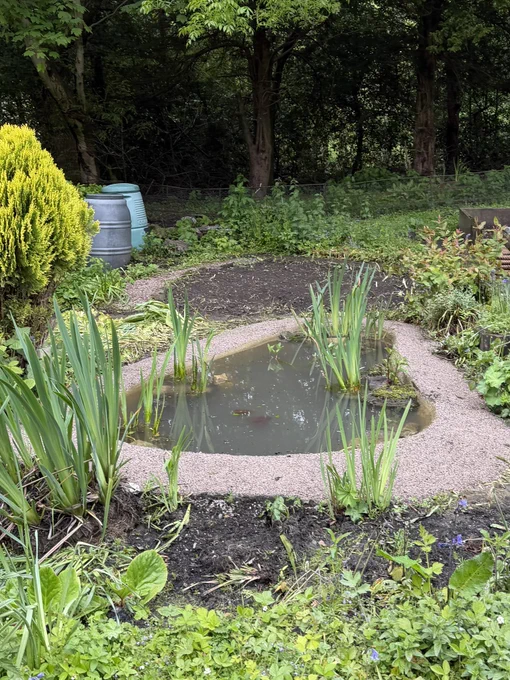 The refurbished pond