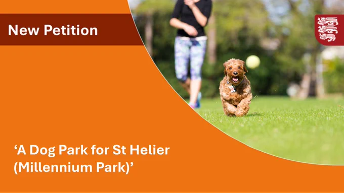 A dog running after a tennis ball in a park.