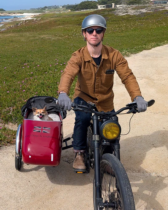 A person riding a vintage-style bike with a red sidecar. A small dog with pointed ears is peeking out from the sidecar.
