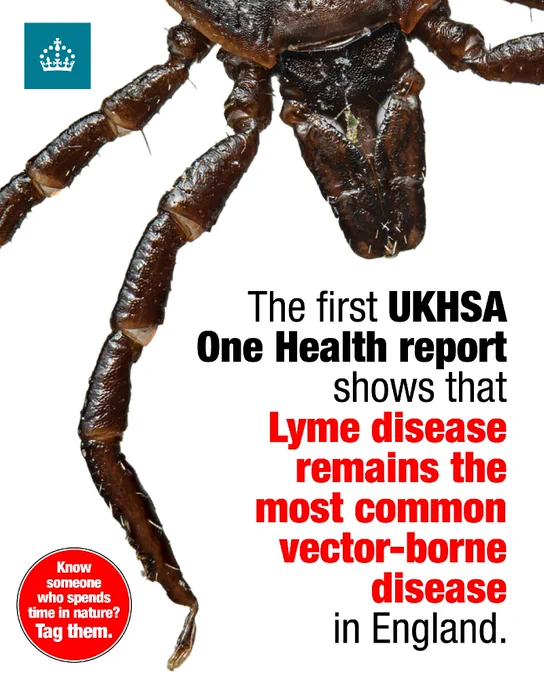 Close-up macro image of a tick’s legs and body against a white background, showing fine detail of its textured surface. UKHSA branding appears in the corner. Overlaid text reads: “The first UKHSA One Health report shows that Lyme disease remains the most common vector-borne disease in England.” A red circle adds: “Know someone who spends time in nature? Tag them.”
