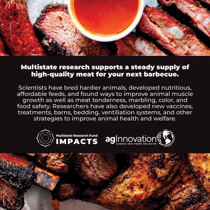 Close-up image of barbecued ribs, sausages, brisket, and other meats. A text box is overlaid on the image. The text explains how multistate research supports meat production. The MRF Impacts logo and agInnovation logo are also in the text box.