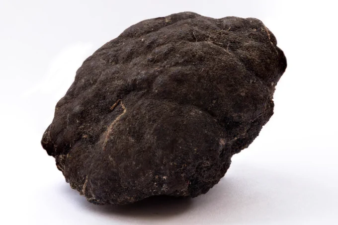 A polymetallic nodule from the Pacific Ocean.   