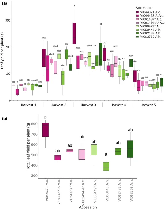 Fig. 1 Leaf yield of the eight Amaranthus cruentus and A. hypochondriacus multi-parent advanced generation inter-cross (MAGIC) population founder accessions in an irrigated field trial.