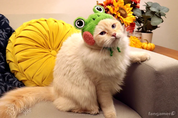 A photo of the frog hat from Fangamer's Little Kitty, Big City Deluxe Edition for Nintendo Switch being worn by an actual cat, with one paw up on the arm of a sofa. 