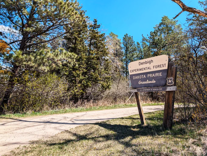 A gravel road stretches into the Denbigh Experimental Forest as the site’s main identification sign stands along the roadside, marking the entrance to one of North Dakota’s historic research forests. Visitors are encouraged to explore the area and experience its quiet trails and unique natural history. Forest Service photo by Scott C. Marvin.