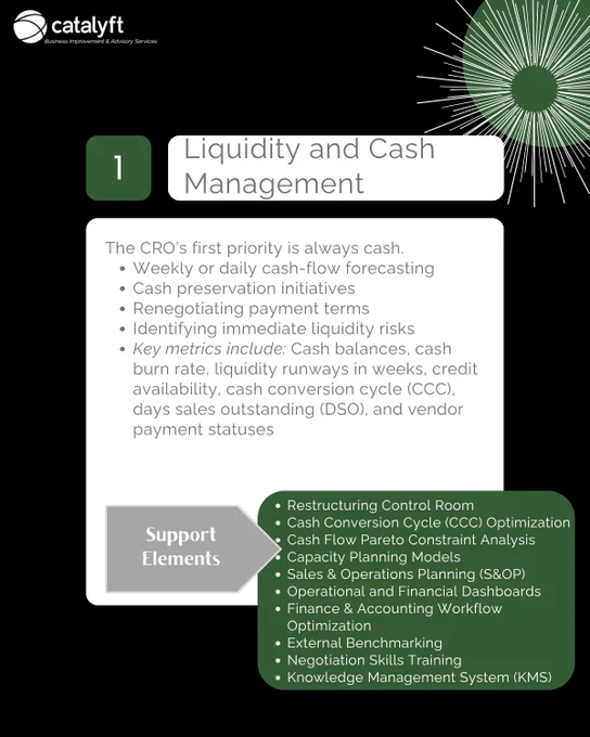 Chief Restructuring Officer Concerns | Liquidity and Cash
