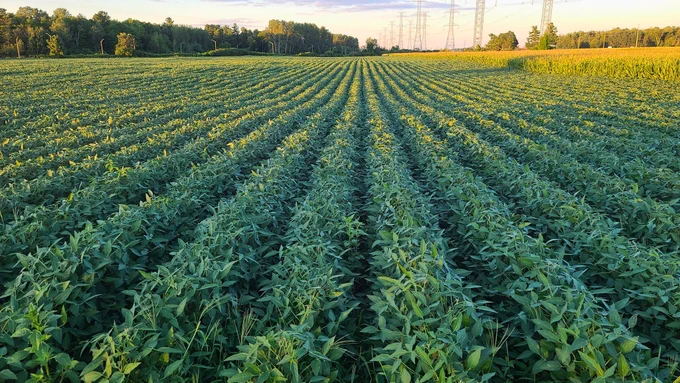 Sentinel™ Rate Control and Row Monitoring paired with LiquiShift® distribution deliver precise, responsive application across every pass. Integrated with GreenSeeker®, this setup enables on-the-go variable rate application, helping adjust to changing field conditions in real time. Supported by a PumpRight™ diaphragm pump, this system is built for consistent flow, accurate placement, and reliable performance from row to row.

📸 Photo courtesy of Jordan Wallace with GPS Ontario, delivering advanced precision ag solutions and fully supported systems to growers across Ontario.

Take a closer look at the pieces behind this setup at www.surepointag.com/liquid-application-systems.

#SurePointAg #Sentinel #LiquiShift #PrecisionAg #AgTech #FarmEfficiency #Plant26