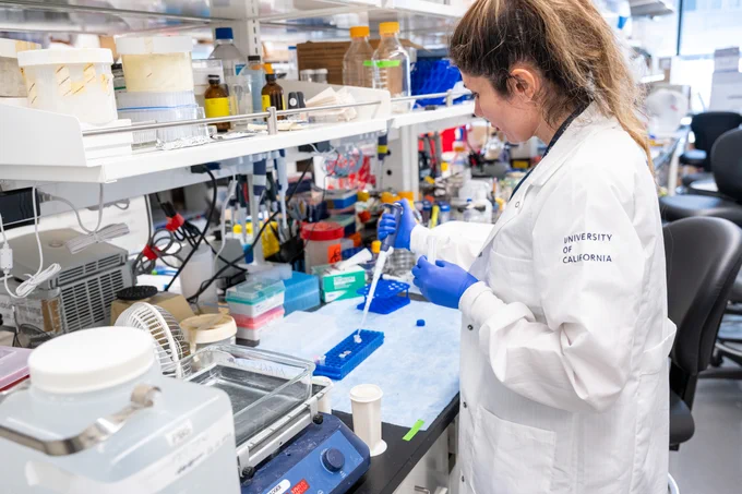 A woman with long light brown hair standing at a bench in a lab setting using a pipette wearing a white lab coat that is embroidered with the words, "University of California."