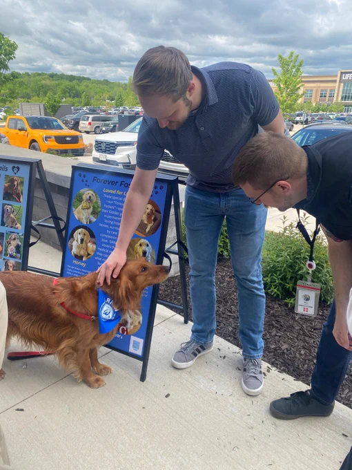 Two men lean over to pet a golden retriever.
