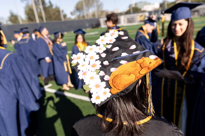 Mortarboard with an illustration of a bear resting under cherry blossoms. (Photo by Brittany Hosea-Small)