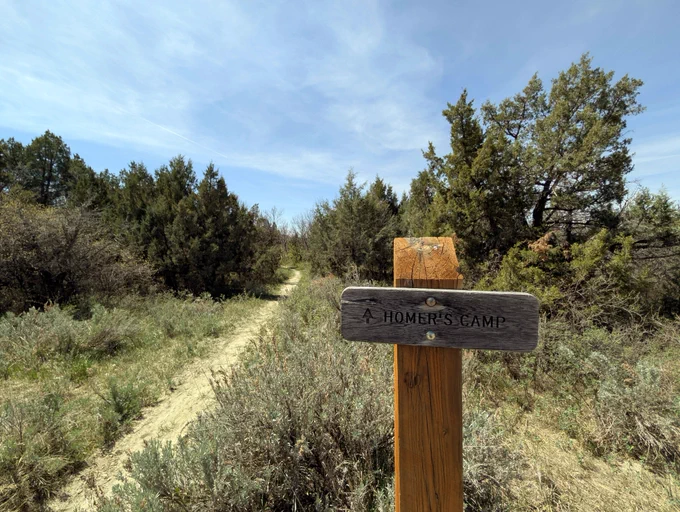 Homer Painter, a long-time Forest Service employee in Watford City, ND, left a lasting mark on the Little Missouri National Grassland. Early in his career, he found a favorite spot along a scenic bend of the Little Missouri River—a place he returned to often to camp, fish, and reflect. Today, a primitive campsite named Homer’s Camp honors his connection to the land and his dedicated service to the Forest Service. A wooden signpost marks the turn for Homer’s Camp along the Maah Daah Hey and Long X trails near CCC Campground, guiding hikers and riders toward this quiet riverside site. Forest Service photo by Scott C. Marvin.