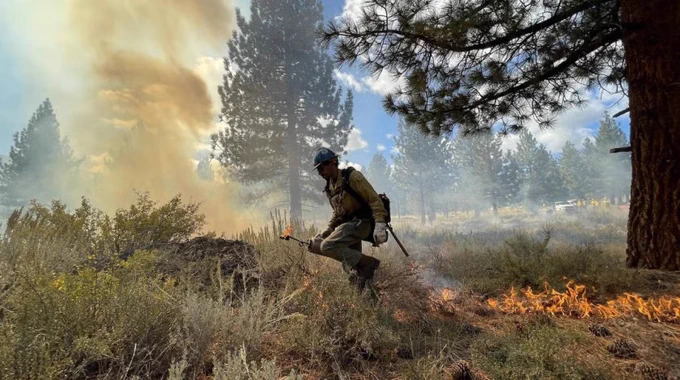 A firefighter is actively working on a prescribed burn in a forested area. Smoke rises into the sky, while trees and underbrush surround the scene. Bright flames spread low along the ground near the firefighter. The sky is partly cloudy.