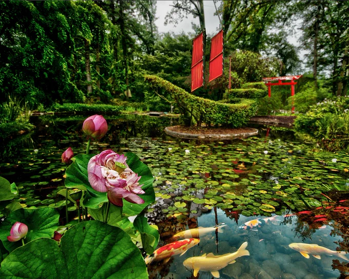 A photo of one of the displays at Ladew Gardens, including fish, plants, and flowers. 