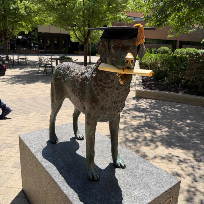 A statue of a dog wearing a graduation cap with a tassel, holding a rolled diploma in its mouth, stands on a pedestal outdoors. The area is shaded by trees and surrounded by brick pathways and seating.