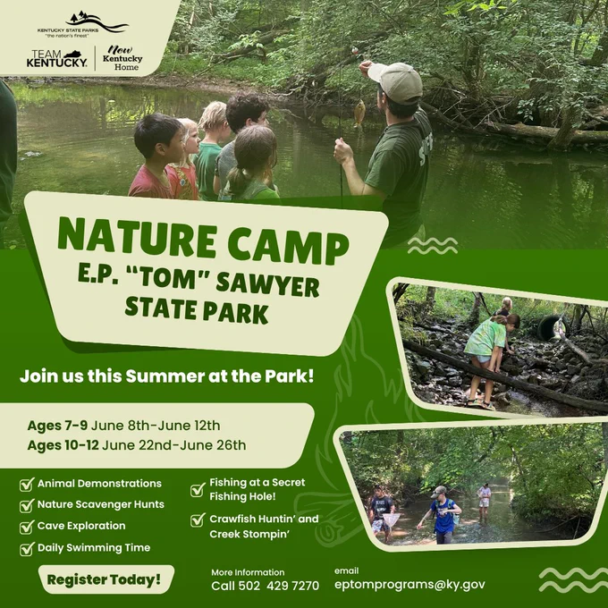 A group of people exploring a creek with nets at E.P. "Tom" Sawyer State Park's Nature Camp. The flyer includes activities like animal demonstrations, scavenger hunts, and cave exploration for ages 7-12 in June. Contact information for registration is provided. Logos for Team Kentucky and Energy Kentucky Home are visible.