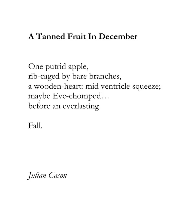 A Tanned Fruit In December


One putrid apple, 
rib-caged by bare branches, 
a wooden-heart: mid ventricle squeeze;
maybe Eve-chomped…
before an everlasting 

Fall.




Julian Cason