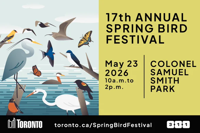Colourful illustration of various bird species flying and perched near a lake, promoting the 17th Annual Spring Bird Festival on May 23, 2026, at Colonel Samuel Smith Park.