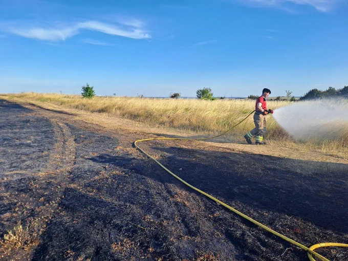 A firefighter in a red shirt and protective gear is spraying water from a hose onto a scorched field. The ground around him is blackened, suggesting a recent fire, while the area ahead remains covered in dry grass. The sky is clear and blue, indicating a calm day.