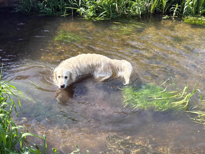 Ralph standing in a river