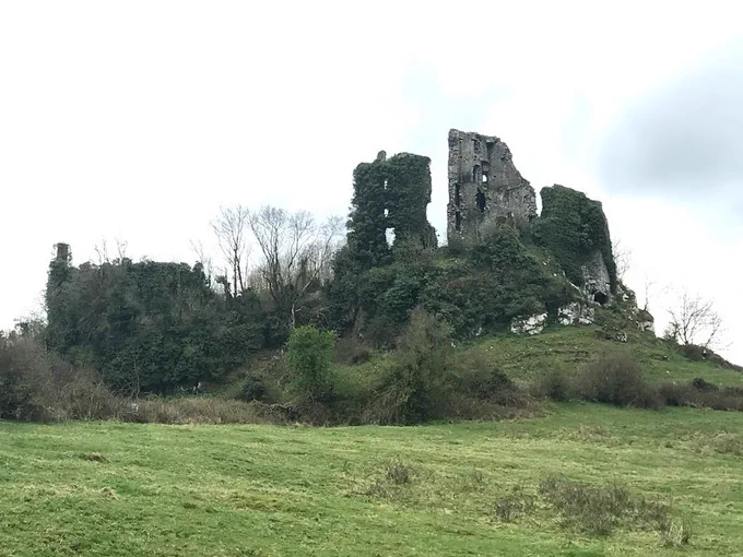 Picture of Carrigogunnell Castle.
