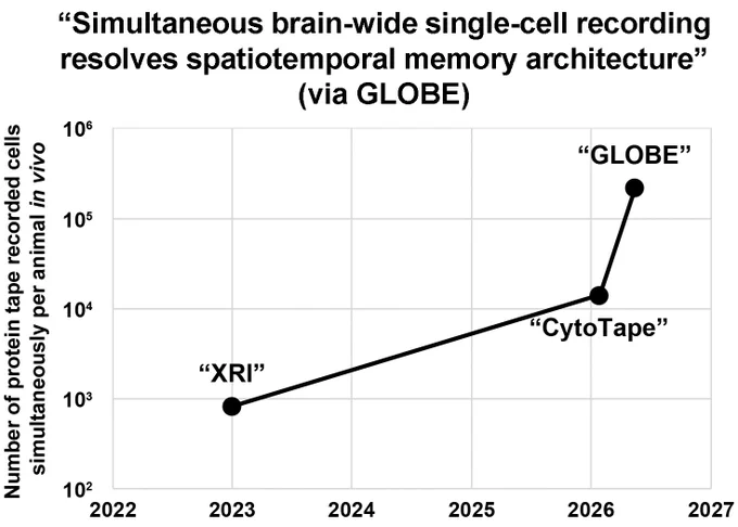 Recording scalability in vivo
