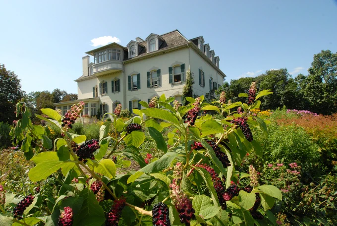 Large white house with green shutters surrounded by lush garden and berry bushes under a clear blue sky.
