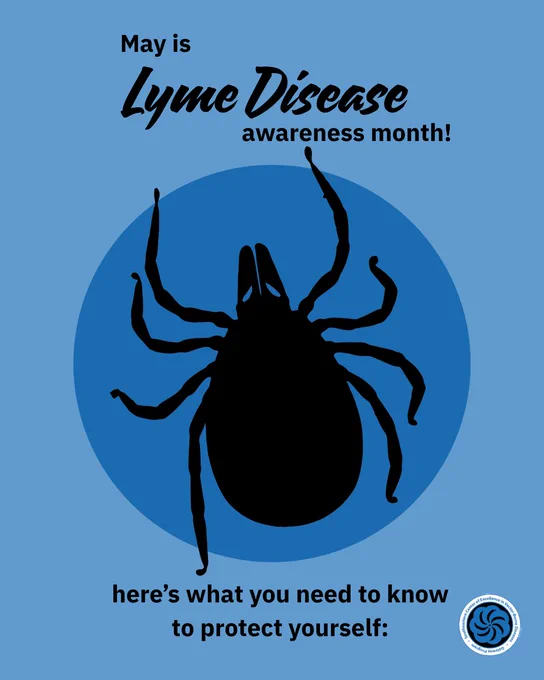 Blue graphic featuring a large tick silhouette with text that reads “May is Lyme Disease awareness month!” and “here’s what you need to know to protect yourself.”