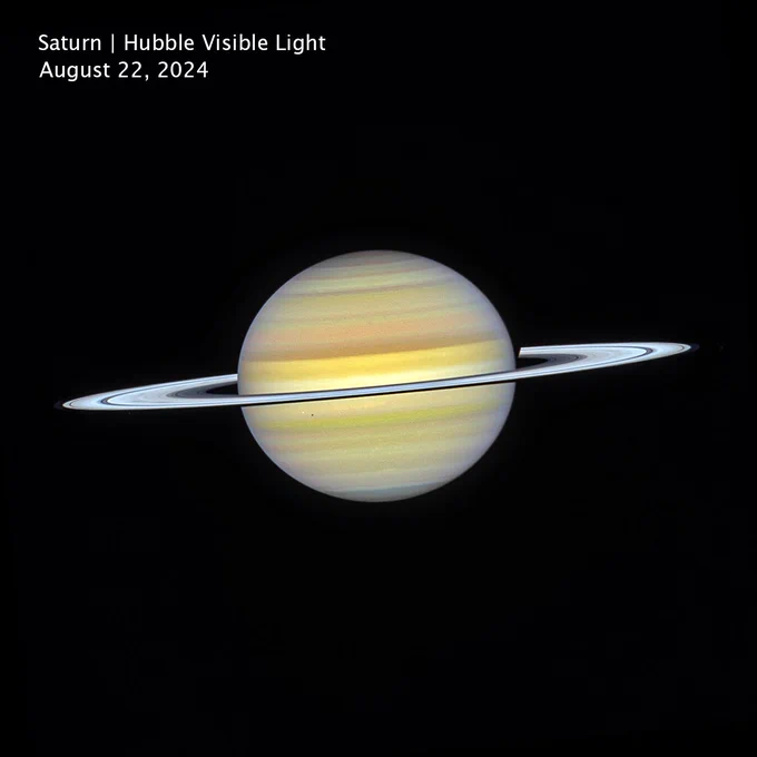 Hubble image of Saturn. The planet is striped with yellow, beige, and light brown. Saturn’s rings are mostly white, with a few darker gray. The planet glows against the black of space.