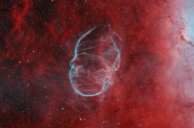 🤯 SNR G206.9 02.3 in Monoceros, captured with Insight Observatory’s AFIL‑36. ✨ 134  hrs reveal stunning detail.

➡️ Masters Only dataset—20% off (limited)