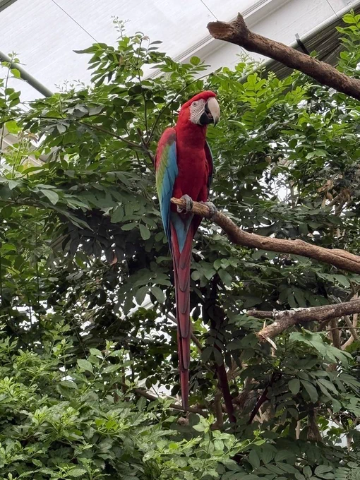 Zoo