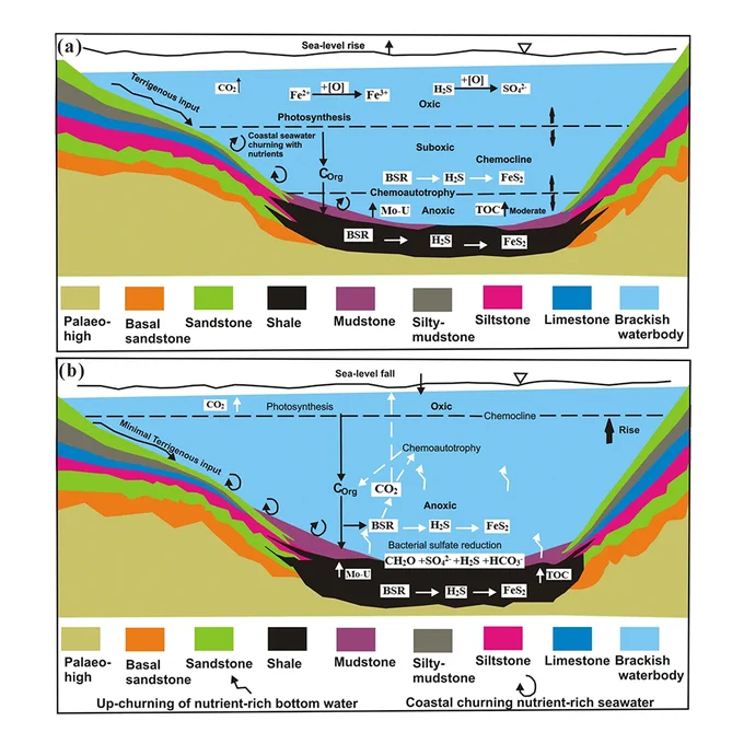 Paleoenvironmental reconstruction and carbon and sulfur isotopes perturbation in black shales of the Paleocene Bolander member in the N’kapa Formation, Douala Sub-basin Cameroon

