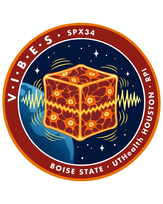 A circular mission patch shows an orange cellular-pattern cube with a zigzag line, yellow waveforms radiating outward, and Earth in a starry backdrop. The border text reads “VIBES,” “SPX34,” “Boise State,” and “UTHealth Houston.”