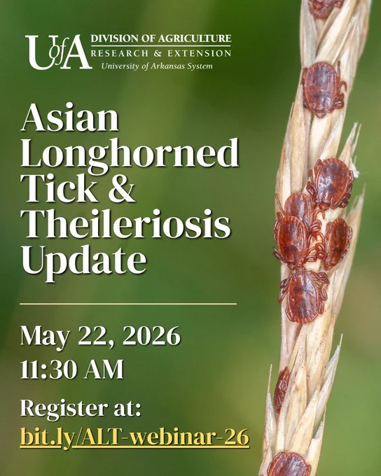 photo of ticks.
Asian Longhorned Tick and Theileriosis Update. May 22, 2026, at 11:30 AM. Register at bit.ly/ALT-webinar–26.
Hosted by the University of Arkansas Division of Agriculture.