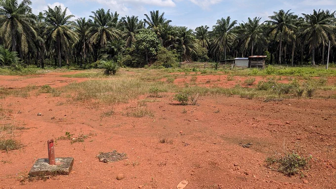A soil conditioner testing site near FELDA Bukit Goh (photo by author).