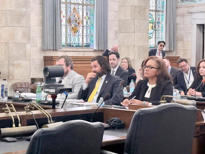 Acting State Comptroller Shirley U. Emehelu in the New Jersey Senate Budget and Appropriations Committee hearing.