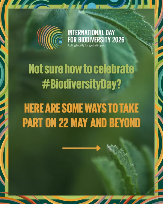 For the International Day for Biological Diversity 2026, partners from around the world have shared stories of people, communities and initiatives contributing to biodiversity action in their own contexts