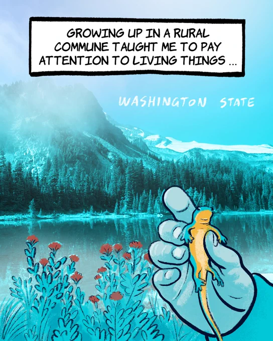 Hand holding a salamander, mountains in the background. Texbox reads: "Growing up in a rural commune taught me to pay attention to living things ..."